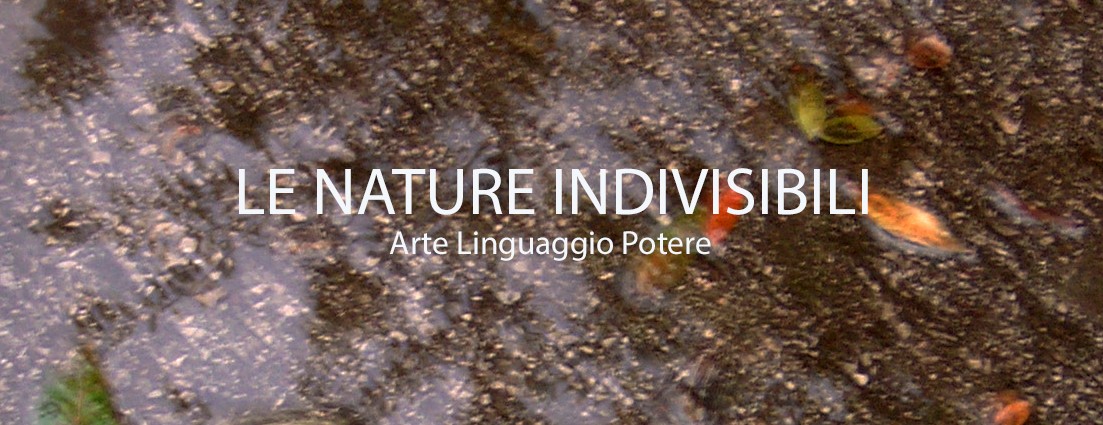 Le nature indivisibili